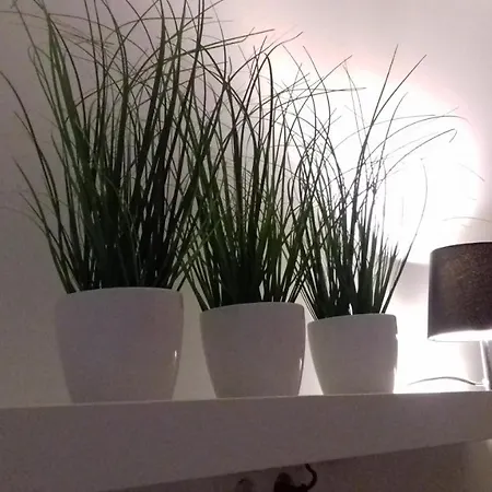 Molo Wellness Garden 시오포크