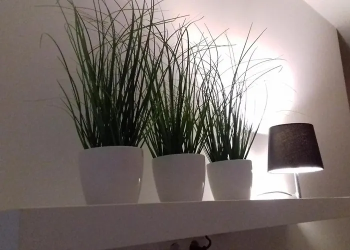 Molo Wellness Garden Siófok